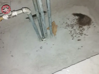 边坝卫生间测漏水价格明细