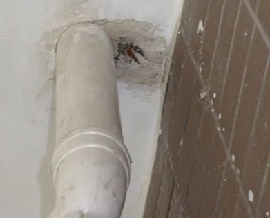 边坝漏水检测哪家好